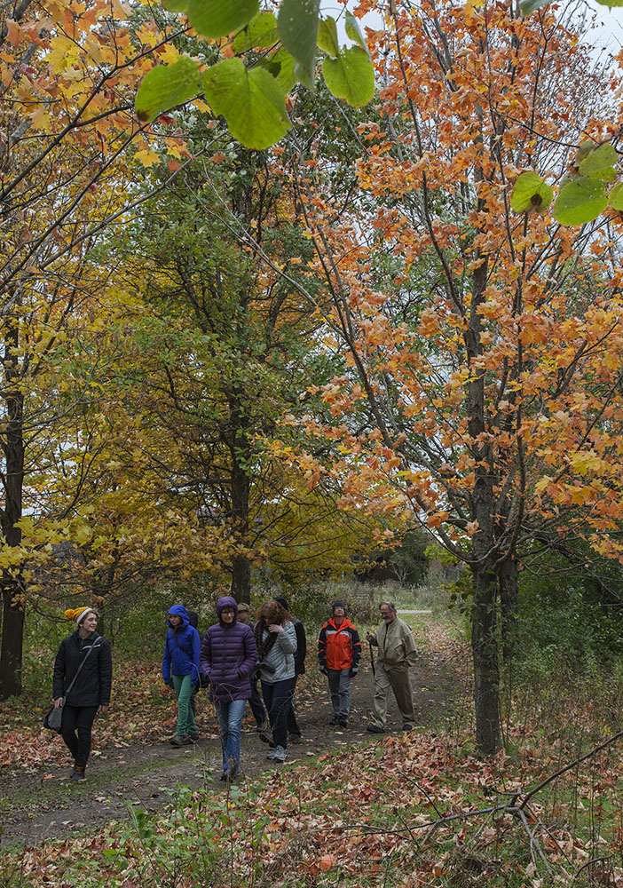 DNR guided birding hike in autumn