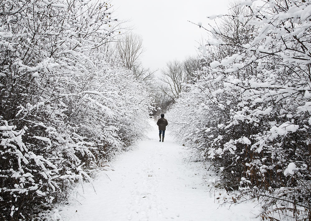 hiker in snow