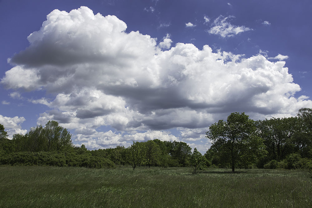 Havenwoods State Forest