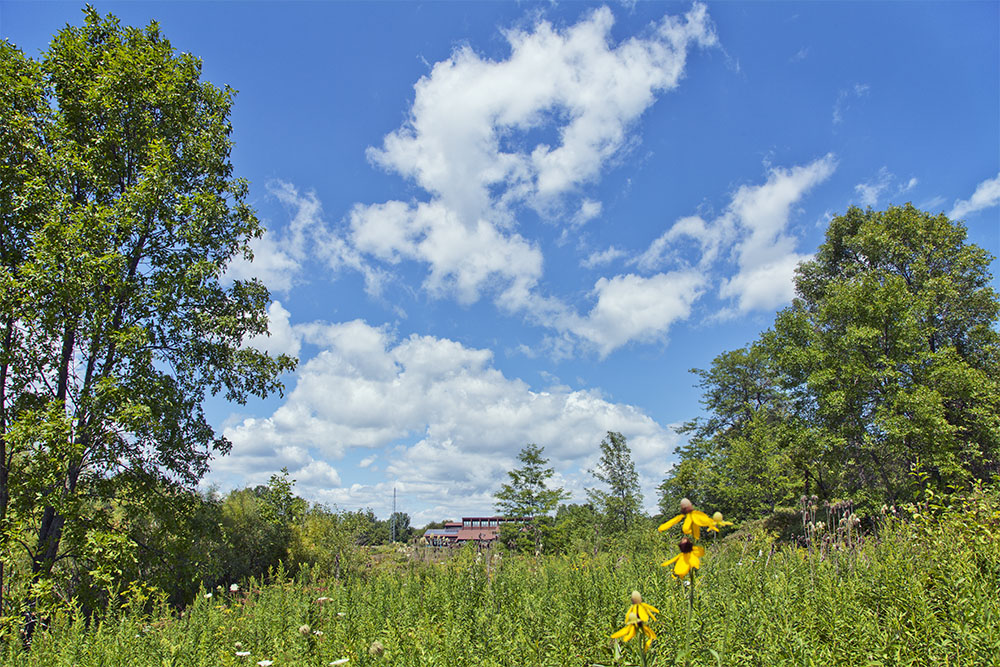 Education center building in the distance