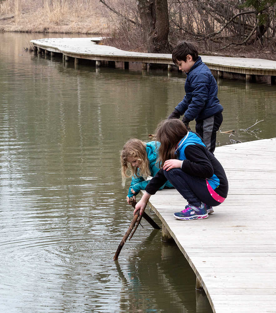 kids poking sticks in the water