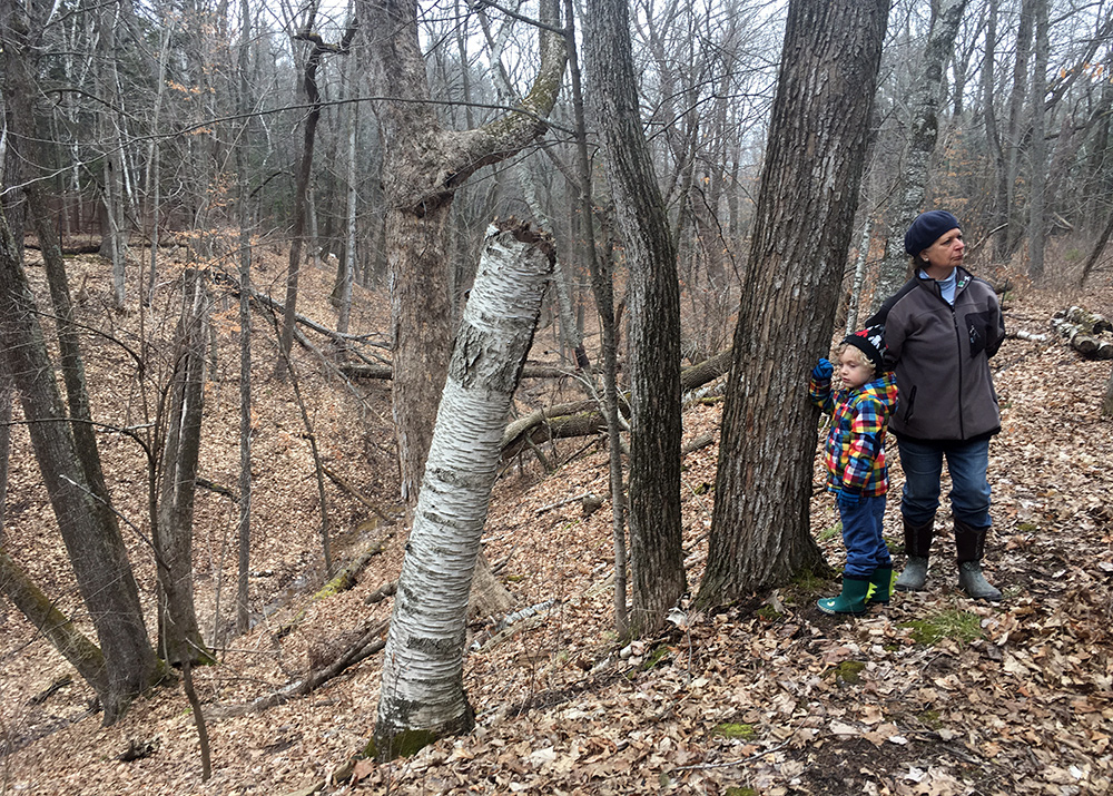 Woman and boy overlooking a ravine