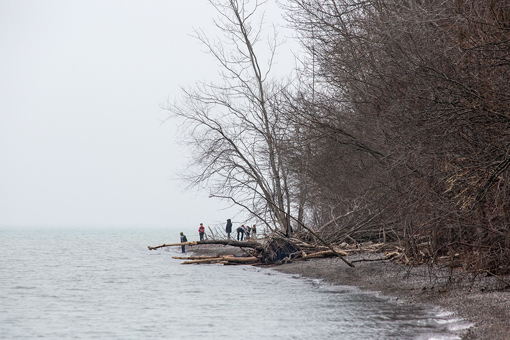 a group of people on the lake michigan shore