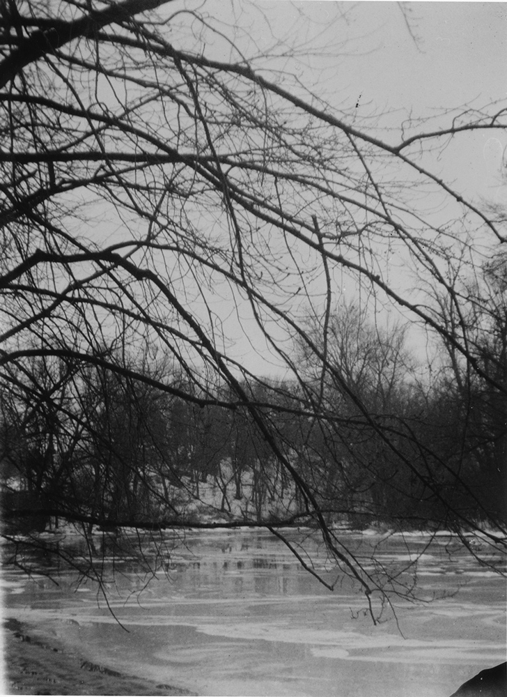 Untitled Brownie camera image of branches over the river