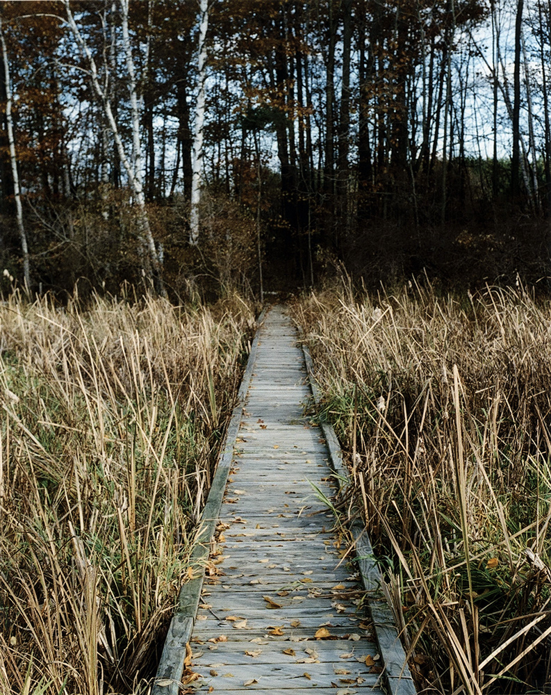 "Boardwalk"