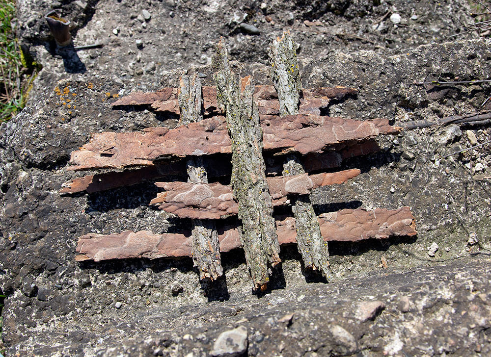 Bark construction at Sauk Creek Nature Preserve. Photo: Eddee Daniel