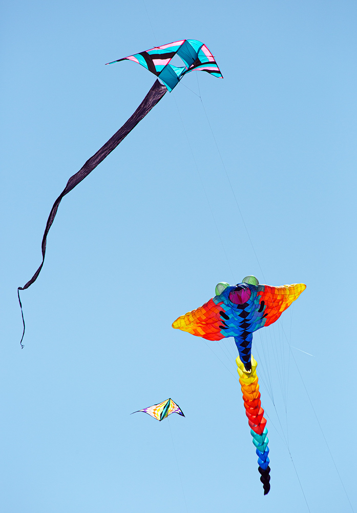 kite festival port allen