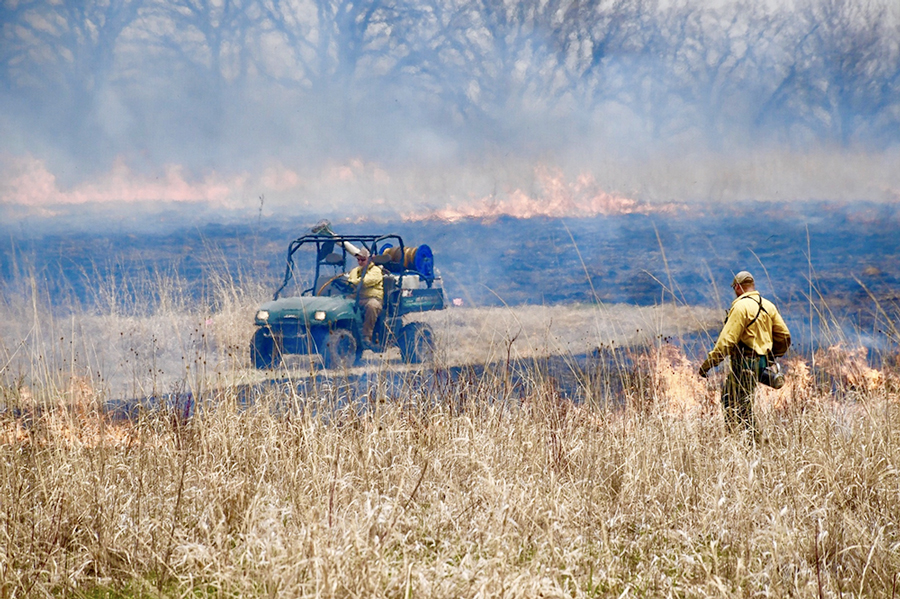 controlled burn