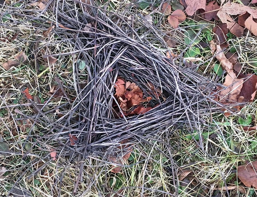 nest marker