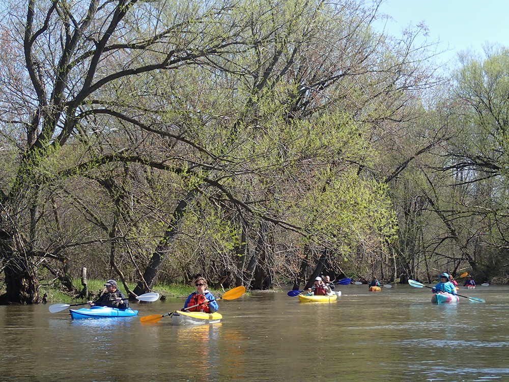 Kayakers