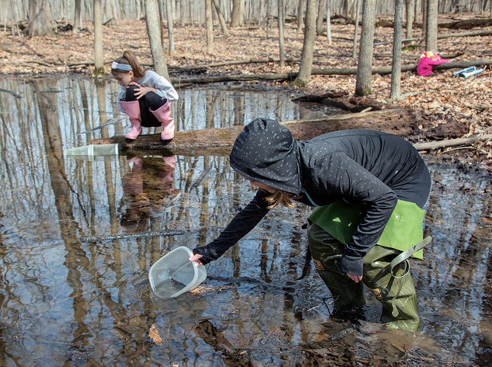 Iva scoops pond water in tub