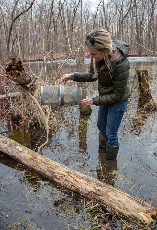 Conservation biologist Julia Robson with funnel trap