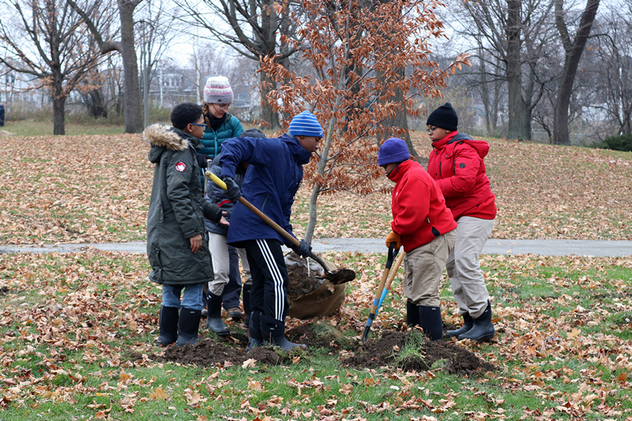 Tree planting in Washington Park. Photo by Jajuan Lyons