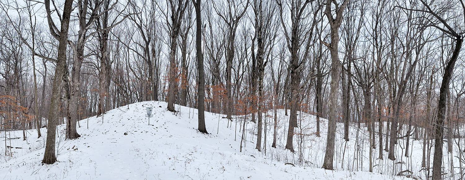 Winter panorama of woodland with disc golf basket