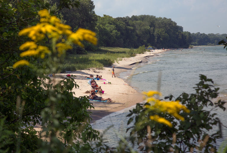 beach, dunes and wooded shoreline at Harrington Beach State Park