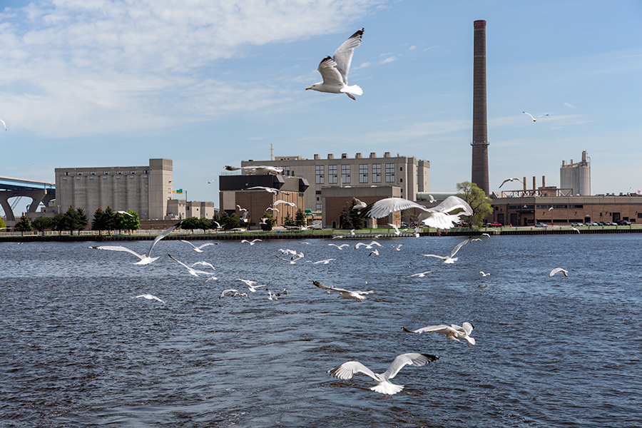 MMSD's Jones Island Wastewater Treatment Plant. 