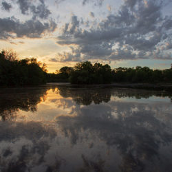 sunset over the Washington Park lagoon