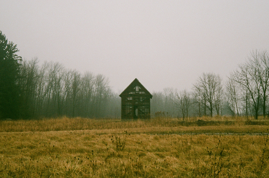 An old farm outbuilding in field with trees in the background