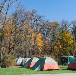 campground with six tents in field with woods behind