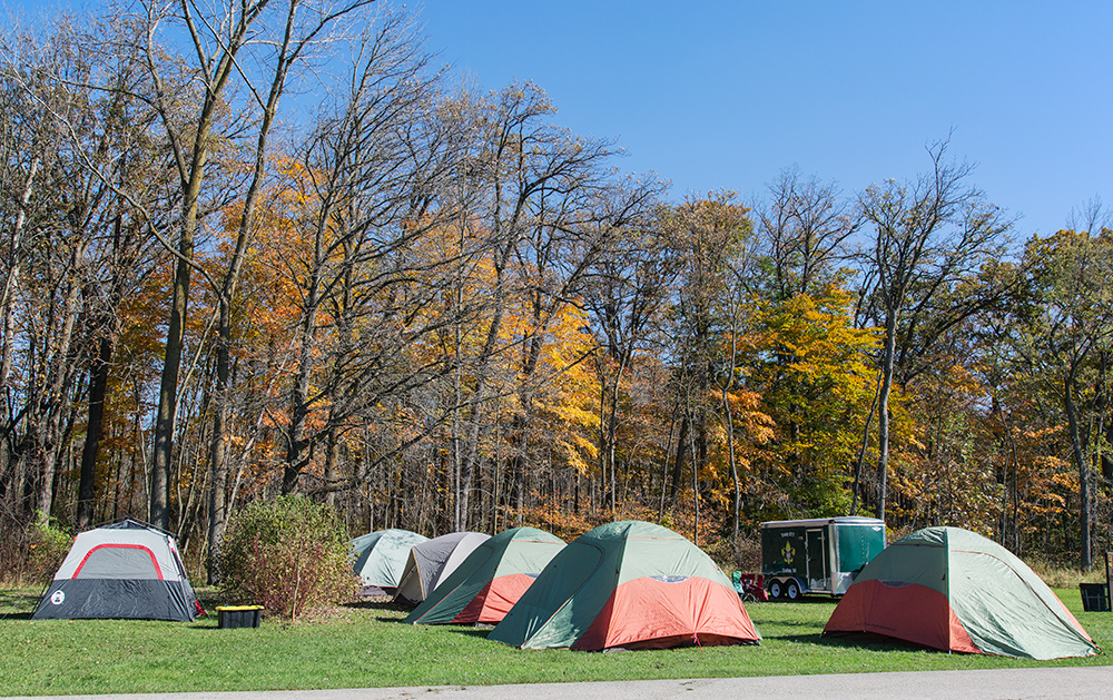 campground with six tents in field with woods behind