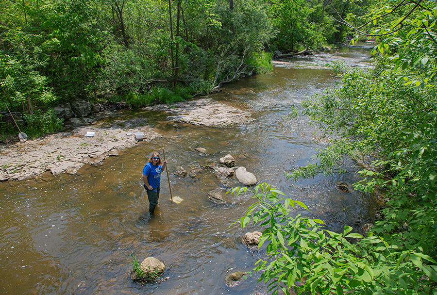 Milwaukee Riverkeeper, Cheryl Nenn with net demonstrating how to catch macro-invertebrates in the creek