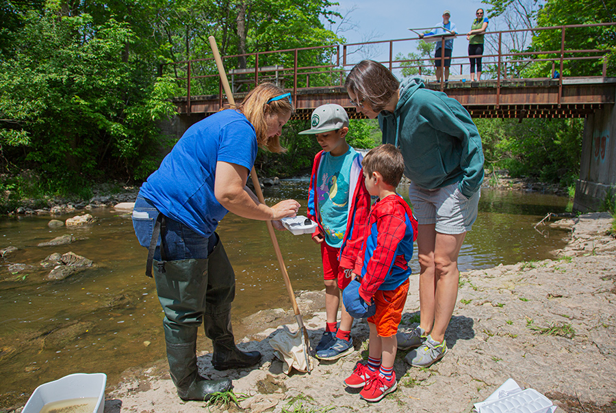 Nenn shows visitors how to identify macro-invertebrates as others look on from bridge