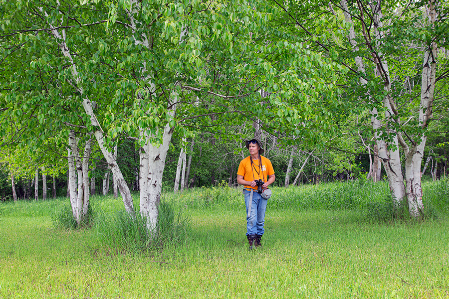 a man with a camera in a birch grove