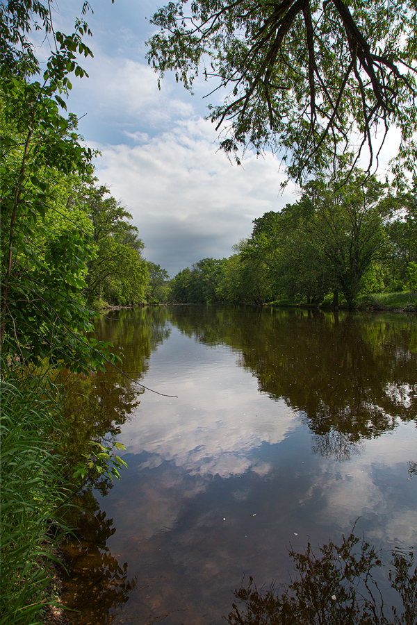 tree-lined Milwaukee River with reflections of clouds