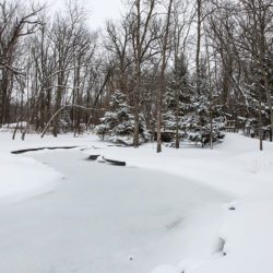 snow-covered frozen creek and woodland