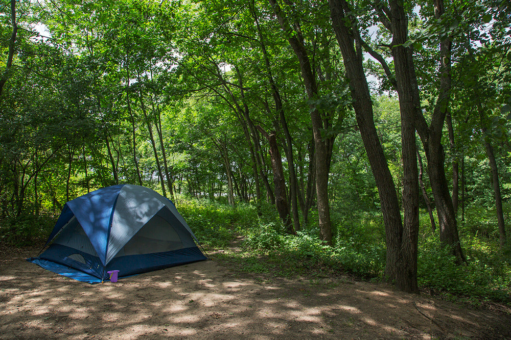 a blue tent on a dirt campsite in the shade of the surrounding woods