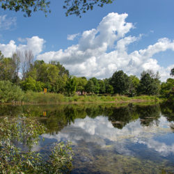 a pond surrounded by trees with dramatic clouds