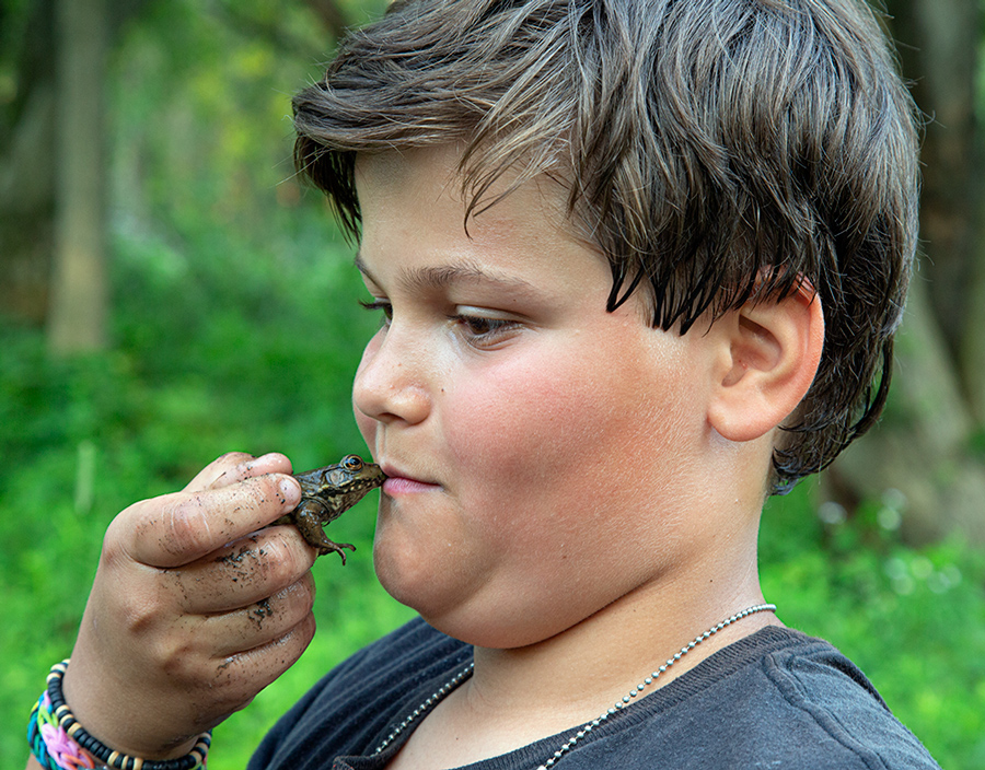 a boy kissing a frog