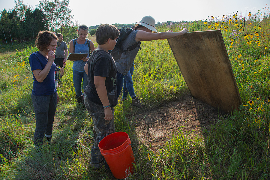 A boy and three adults lift a 5-foot by 5-foot plywood board to check for snakes underneath