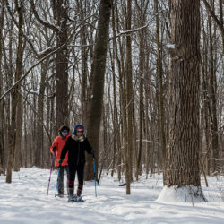 two women snowshoeing in the woods