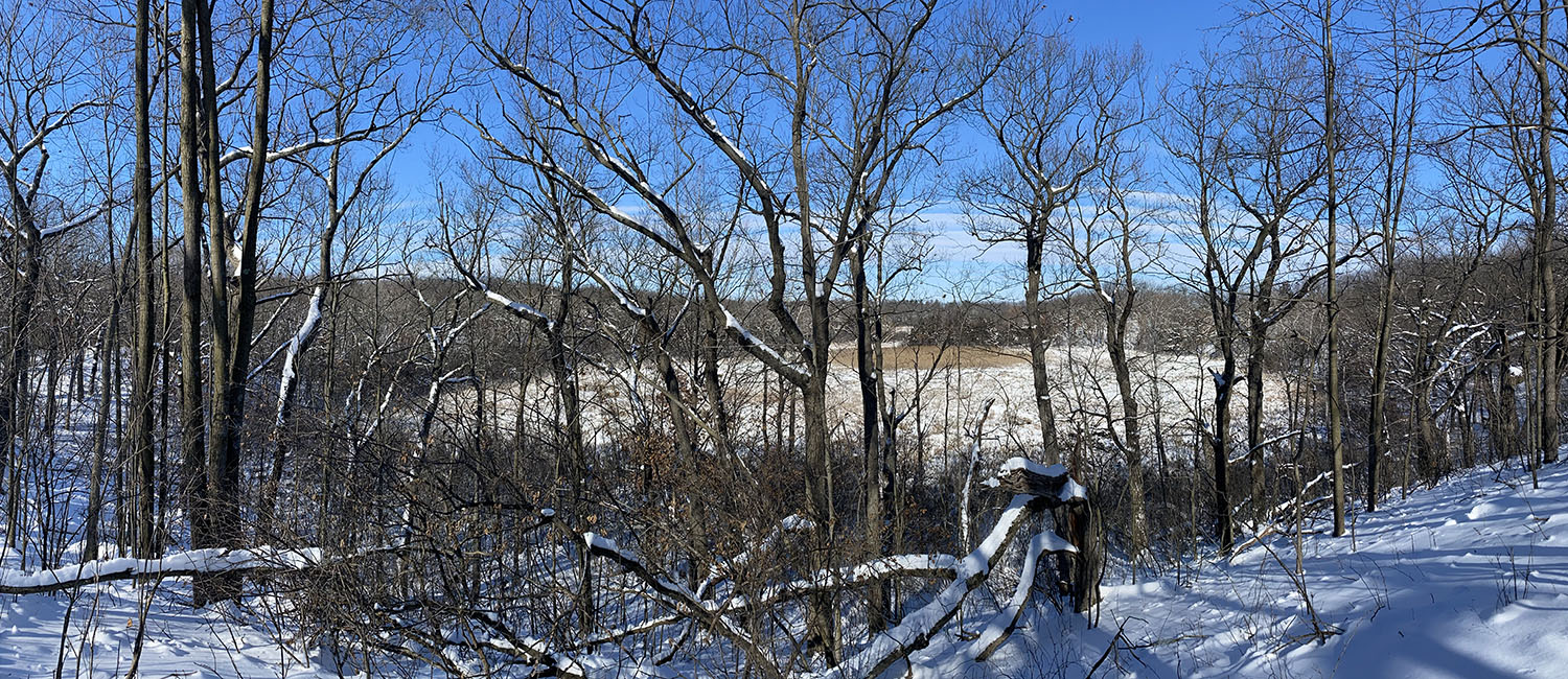 Wehmhoff Woodland Preserve