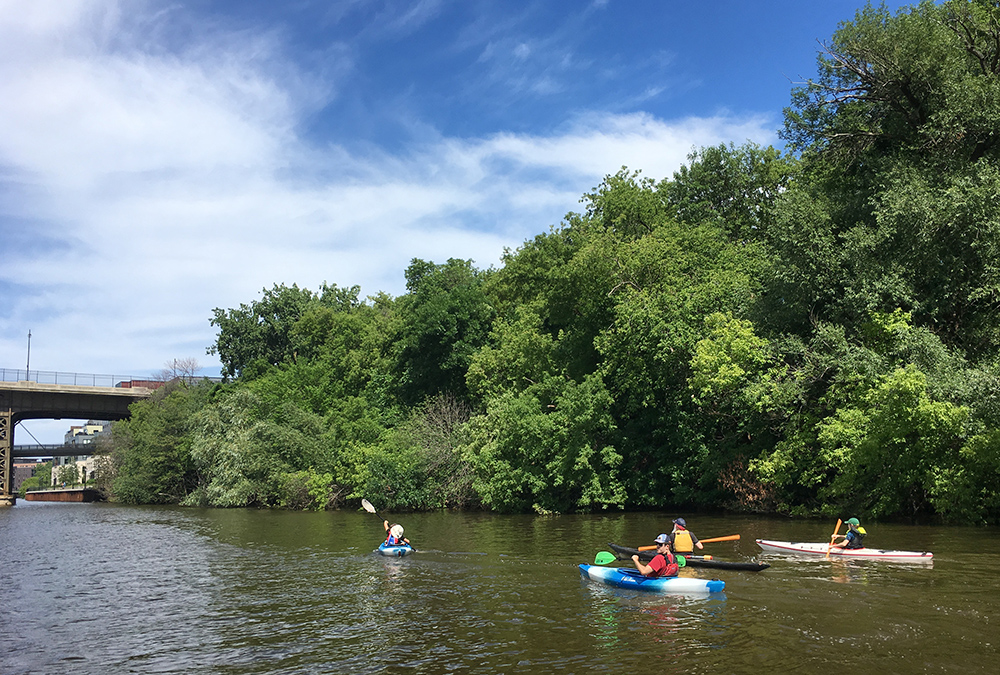 four kayaks paddling upstream along a wooded shoreline towards a distant bridge on the Milwaukee River.