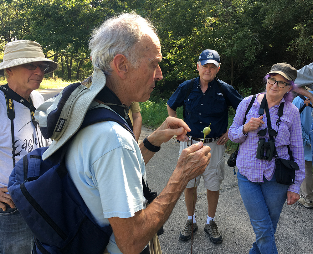 A man holding a goldenrod stalk with a gall fly gall on it as others look on.