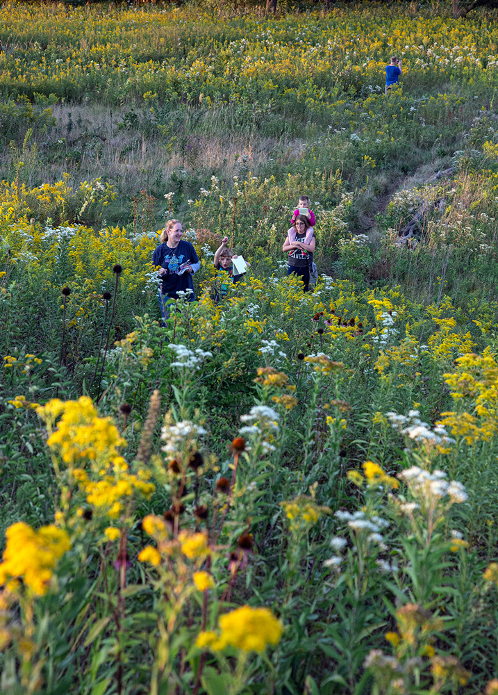 a family walking on a trail through a field of wildflowers