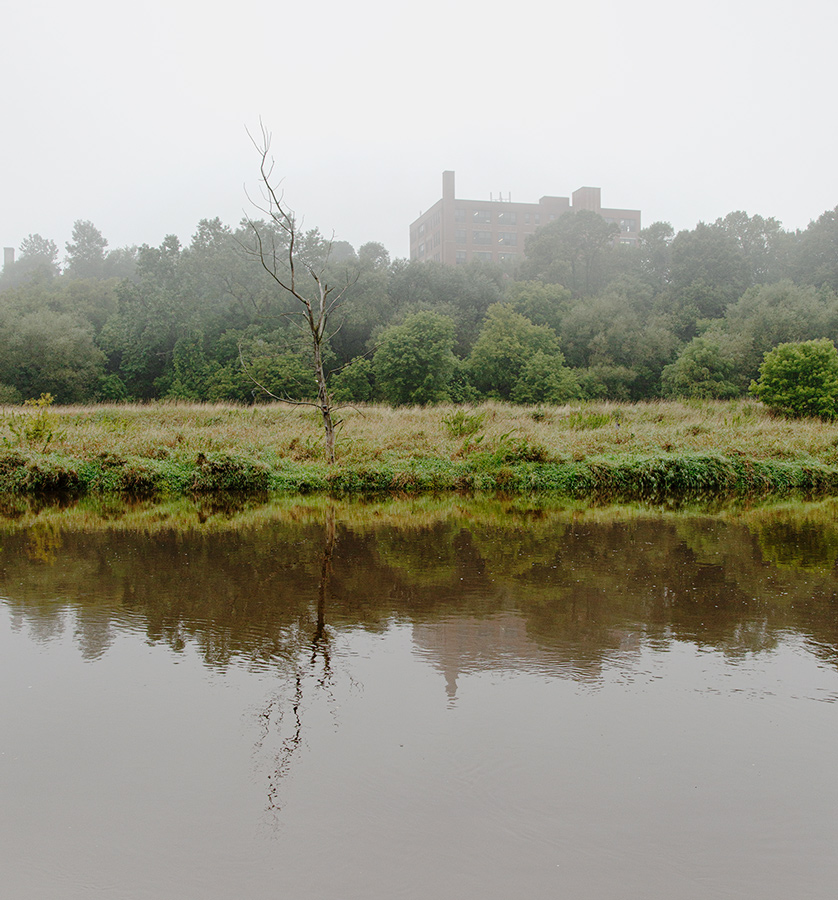 foggy morning on Milwaukee River