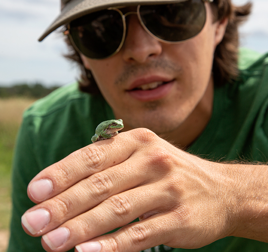 a tiny green tree frog perched atop a hand