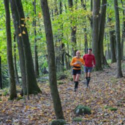 Two joggers on a woodland trail