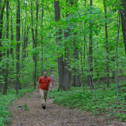 A man hiking on a wide trail through woodland