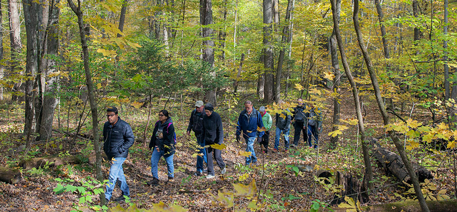 a group of hikers in autumn woods