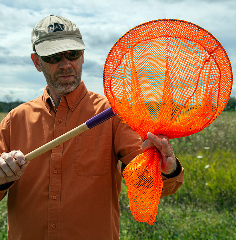 a man holding up an orange net with a monarch butterfly inside it