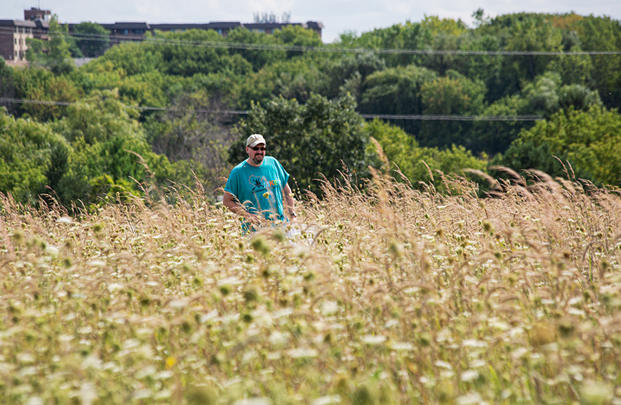 a man walking through a field of tall grass