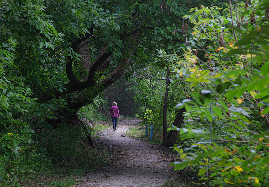 woman walking on woodland trail