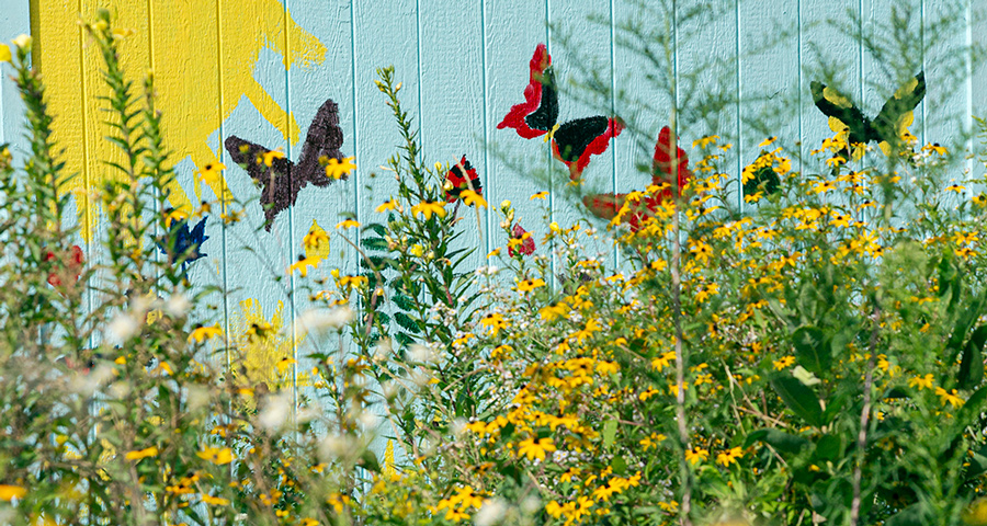 Painted scene of sun and butterflies behind wildflowers