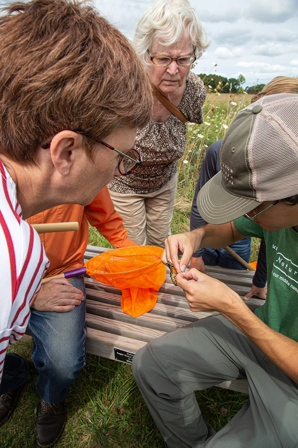 people observing a man as he tags a monarch butterfly