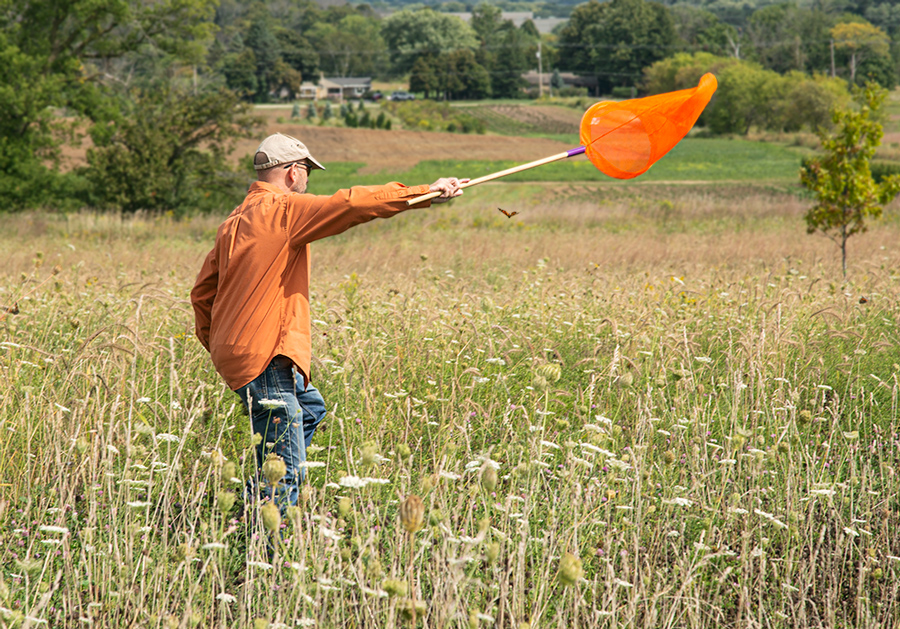 a man using a bright orange net to catch a butterfly