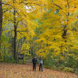 couple walking the Woodland Trail in autumn